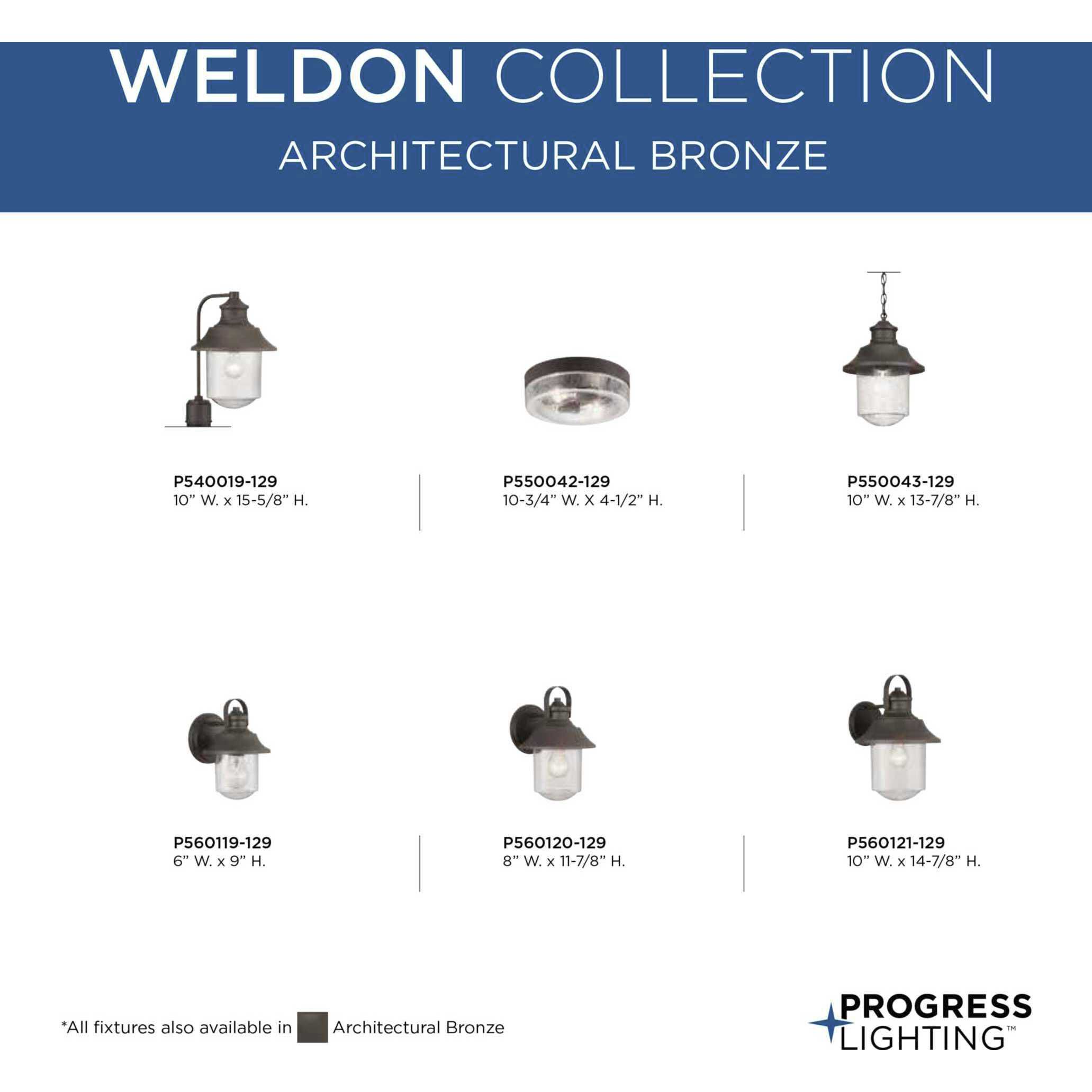 Weldon 2 Light 11 inch Architectural Bronze Outdoor Flush Mount